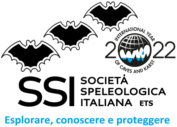 Logo SSI